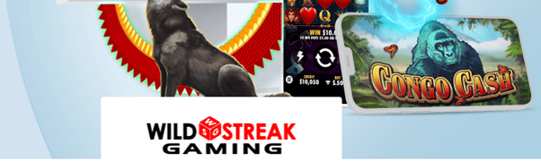 Bragg Wild Streak Gaming jeux capture